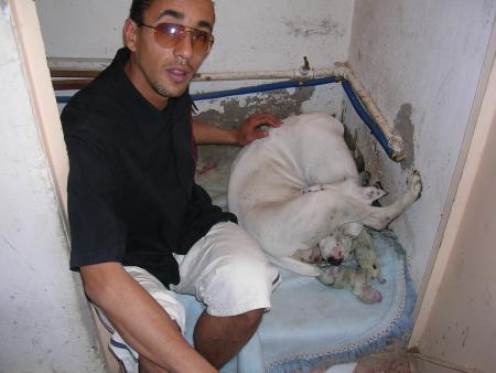 la c hassan